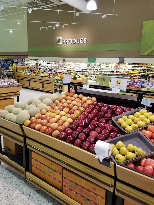 Publix Super Market at National Plaza 2