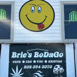 Brie's BoDaGo ico