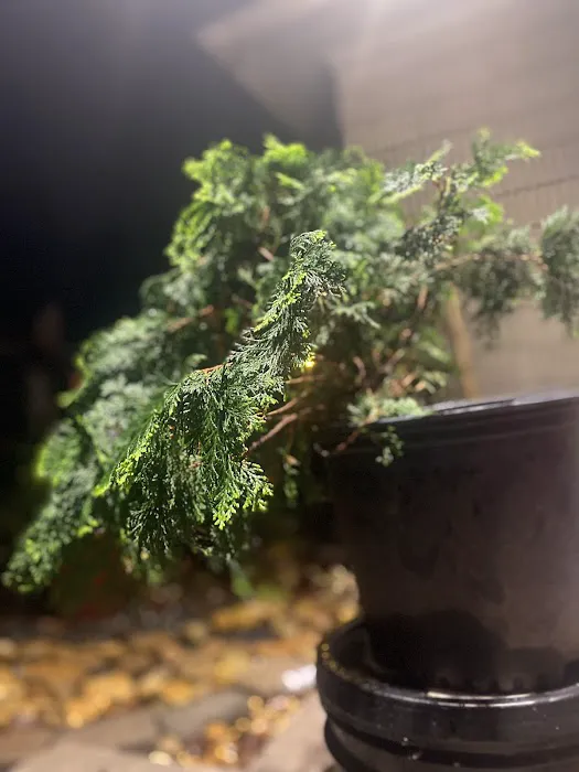Lowe's Garden Center 2