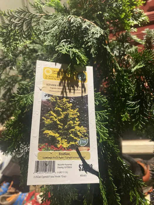 Lowe's Garden Center 3
