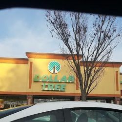 Dollar Tree ico