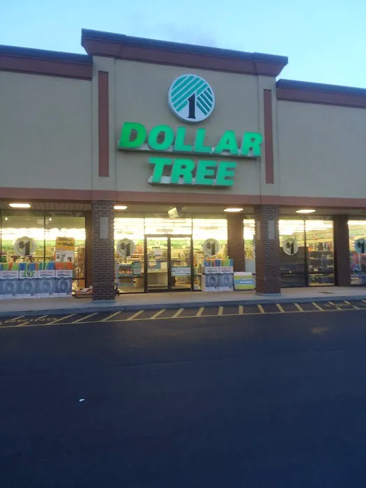 Dollar Tree 7