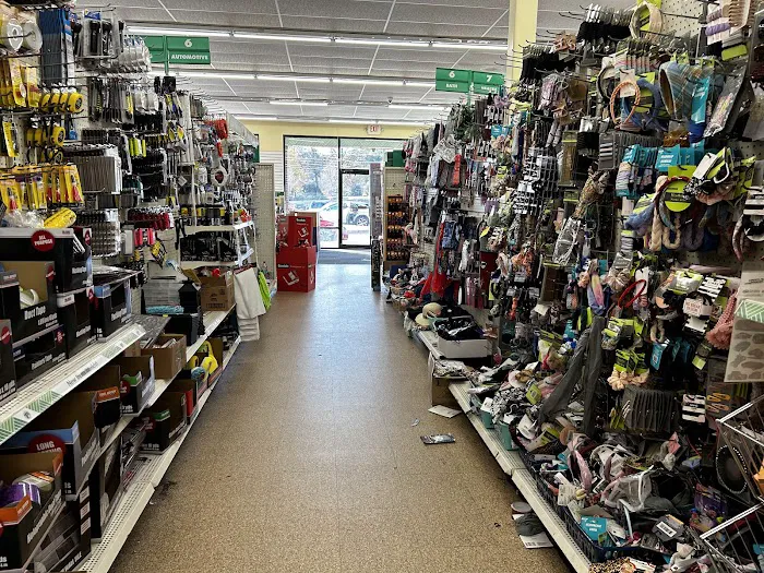 Dollar Tree 2