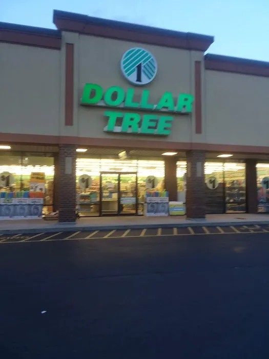 Dollar Tree 5