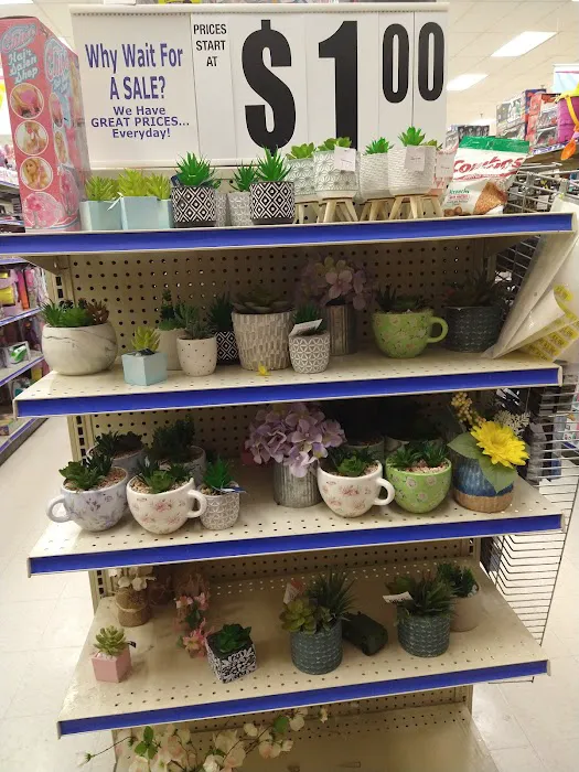 Roses Discount Store 2