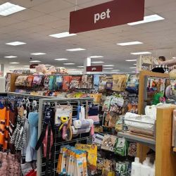 T.J. Maxx ico