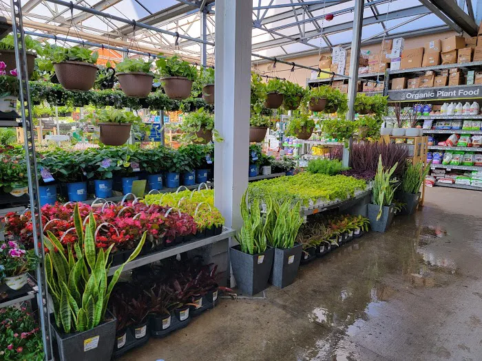 The Home Depot 2