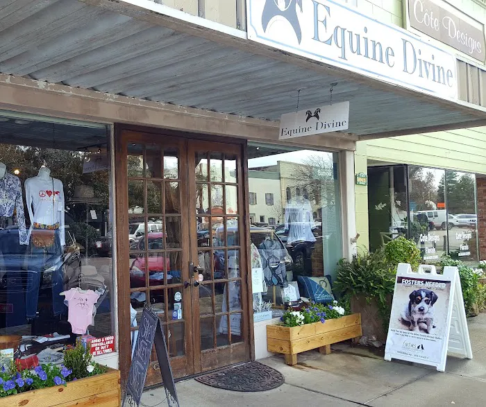 Equine Divine - Aiken, SC 4