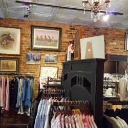 Equine Divine - Aiken, SC ico