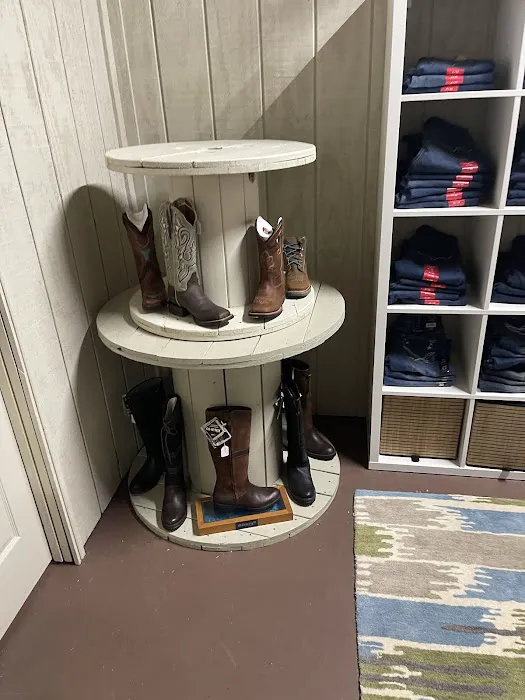 Equine Divine - Aiken, SC 7