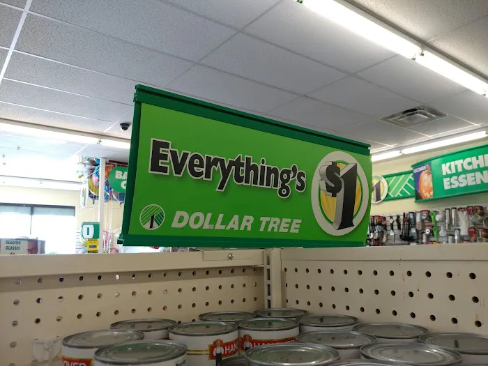 Dollar Tree 2