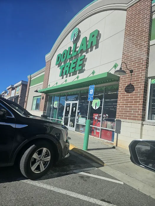 Dollar Tree 8