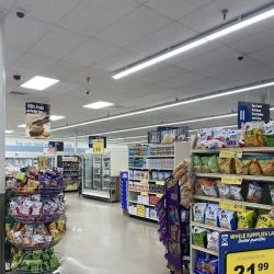 Food Lion ico