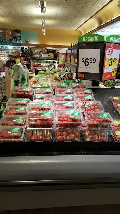 Stop & Shop 1