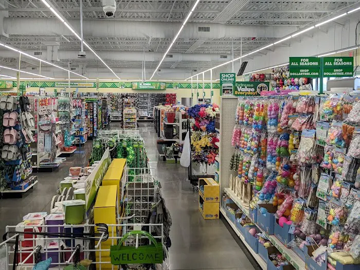Dollar Tree 7