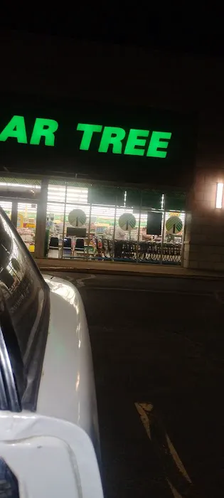 Dollar Tree 8