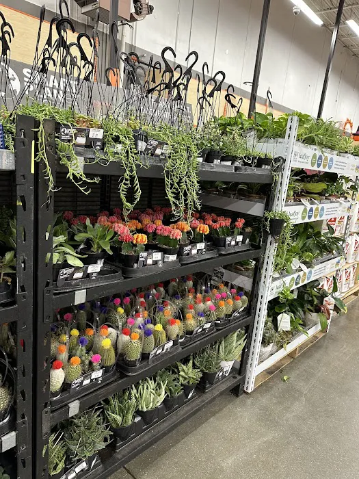 The Home Depot 0