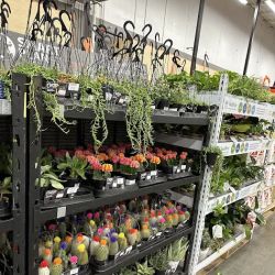 The Home Depot ico