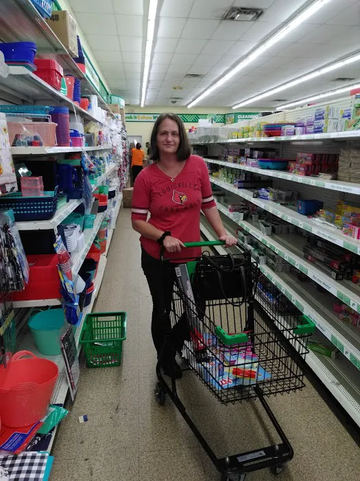 Dollar Tree 9