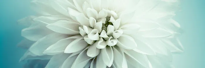 Nance Floral Shoppe 0