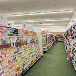 Dollar Tree ico