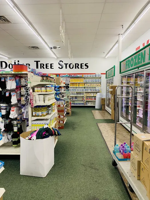 Dollar Tree 1