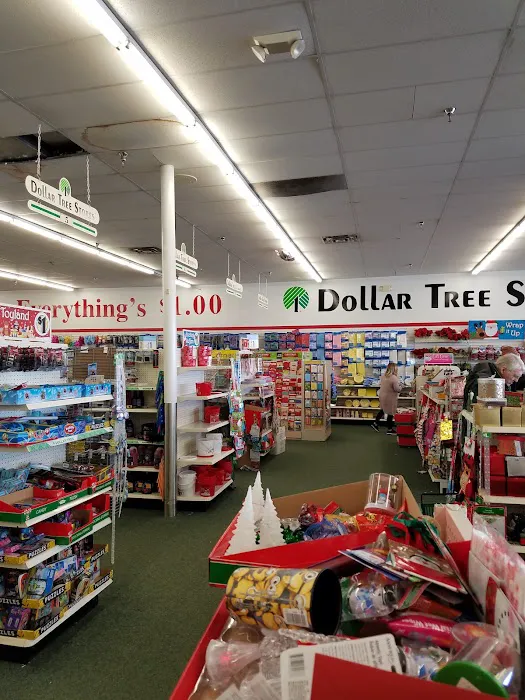 Dollar Tree 5