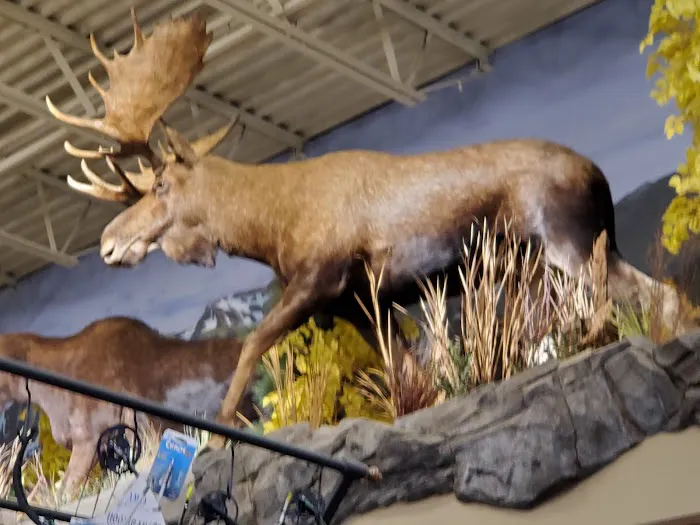 Bass Pro Shops (Formerly Cabela's) 3