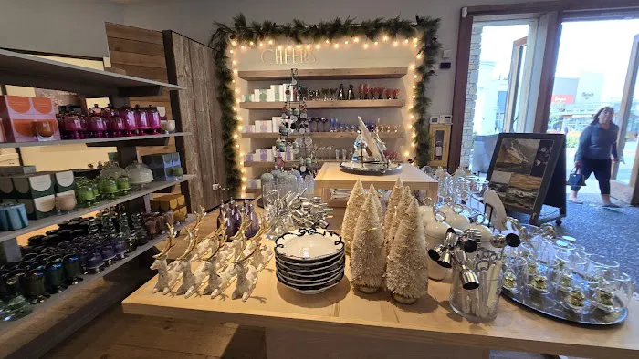 Anthropologie 4