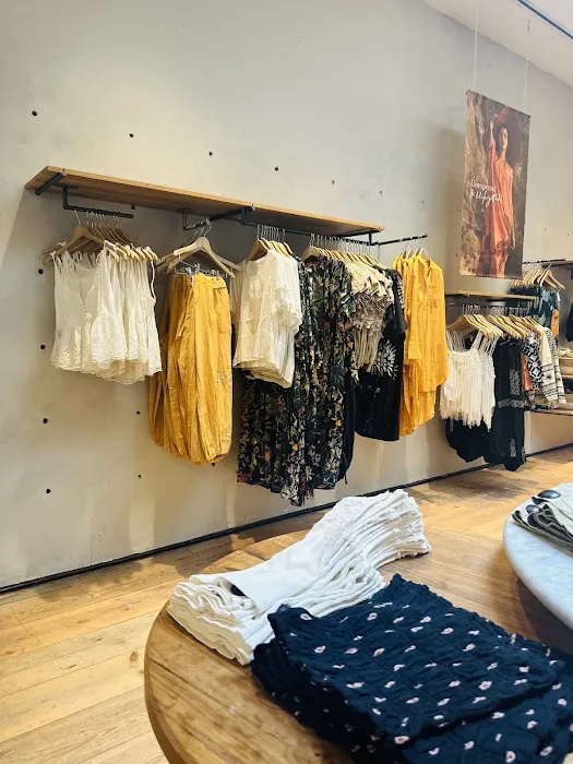 Anthropologie 3