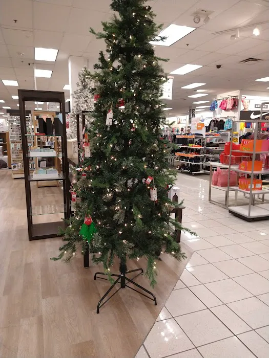 Kohl's 8