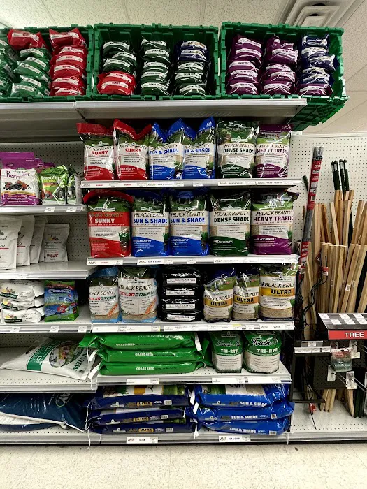 Costello's Ace Hardware of Chester 5