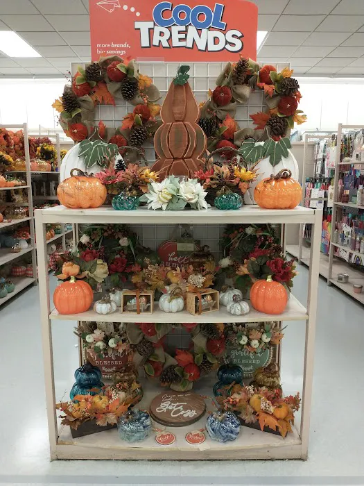 bealls 1