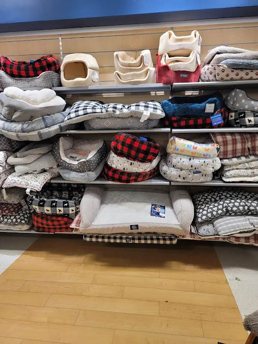 Marshalls 5