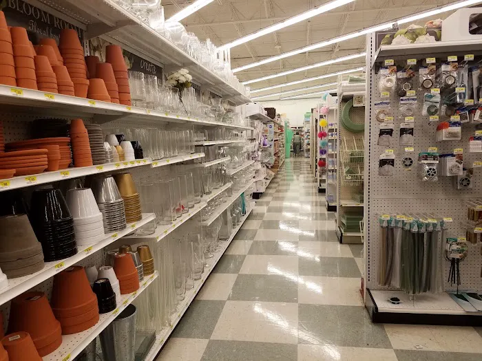 JOANN Fabric and Crafts 3