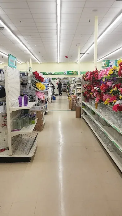 Dollar Tree 7