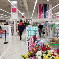 Daiso - Japanese Household Goods ico