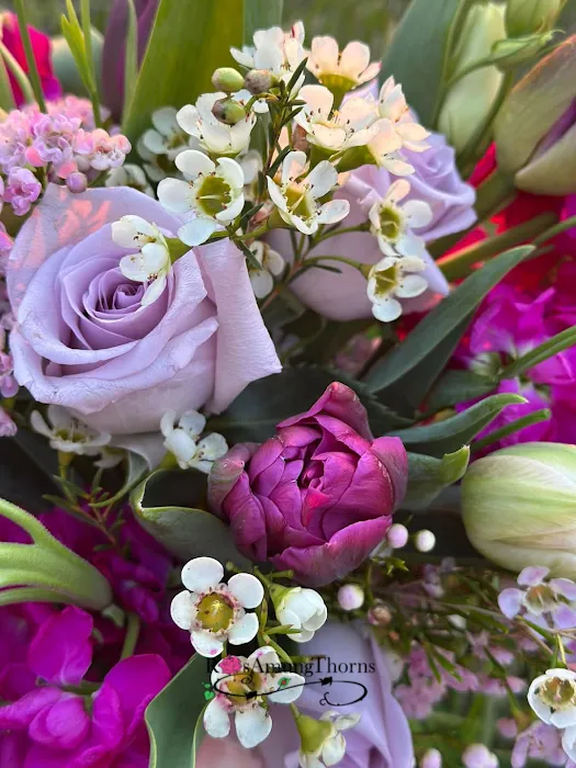 RosAmungThorns Flowers & Gifts 5