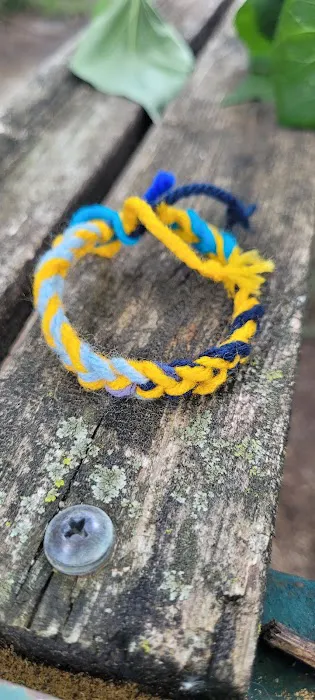 Spotted Turtle Crafts 1