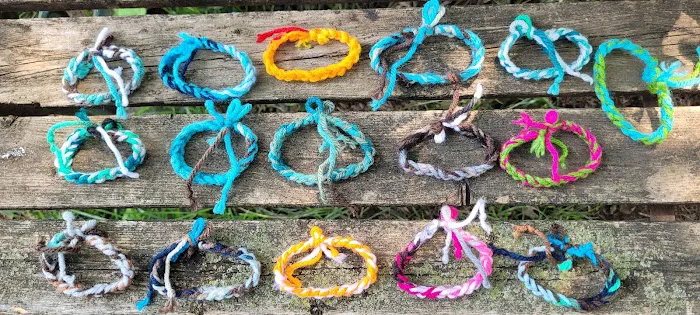 Spotted Turtle Crafts 7