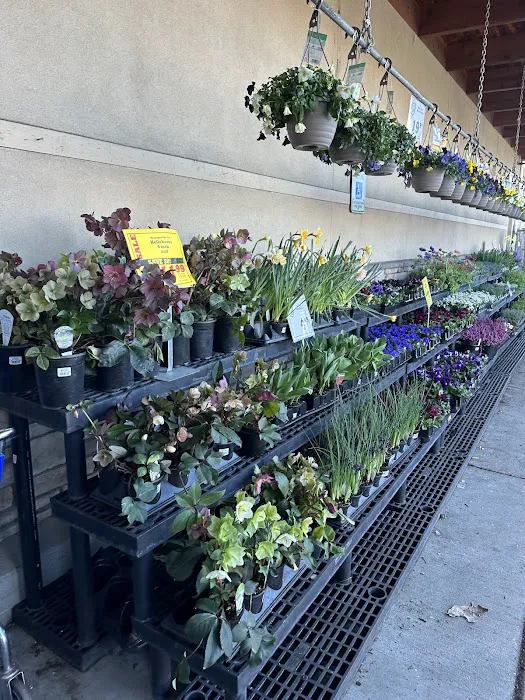 Parkrose Hardware 7