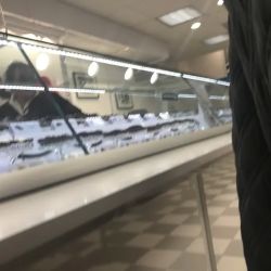See's Candies ico