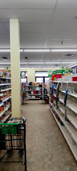 Dollar Tree 2