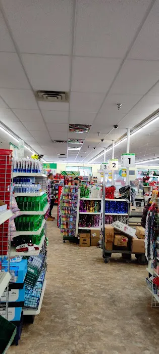 Dollar Tree 5