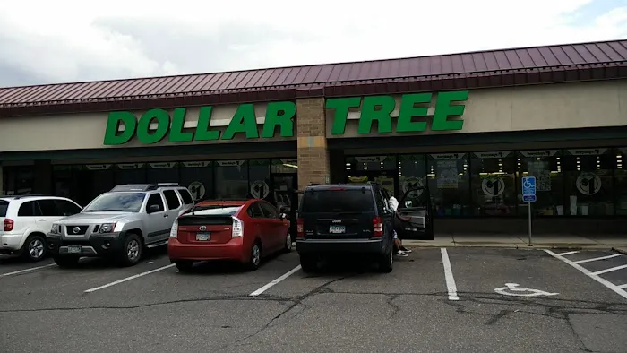 Dollar Tree 7