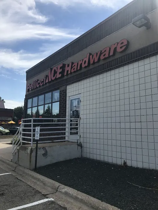 Pellicci Ace Hardware 1