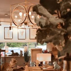 Zula & Mac Interiors and Boutique ico