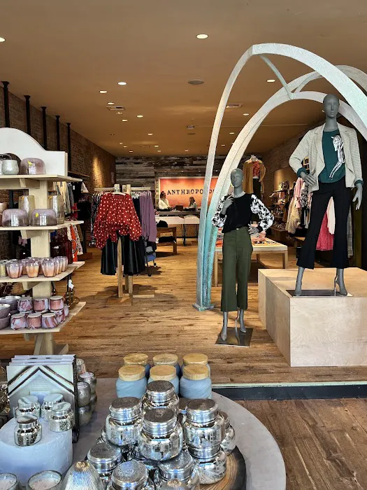 Anthropologie 2