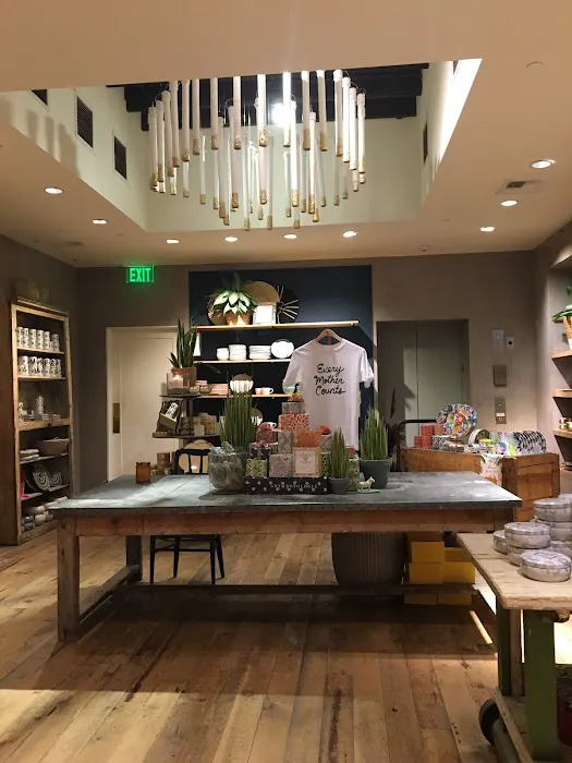 Anthropologie 7