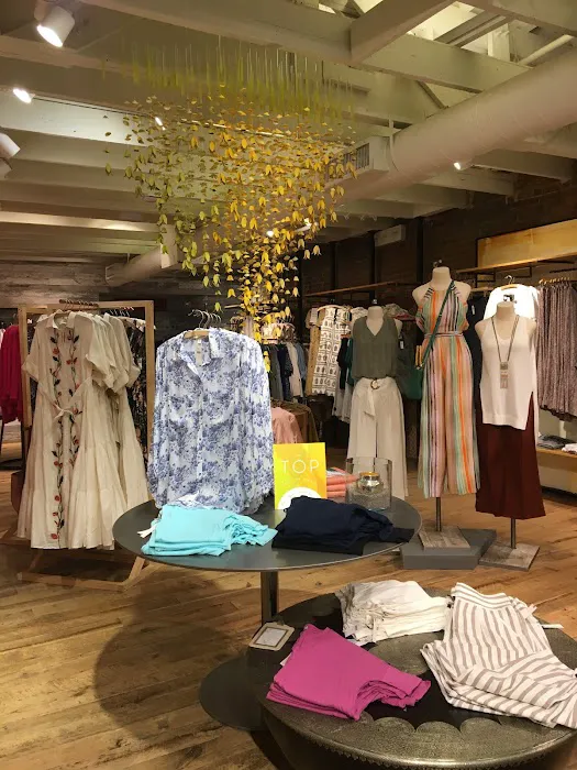 Anthropologie 8